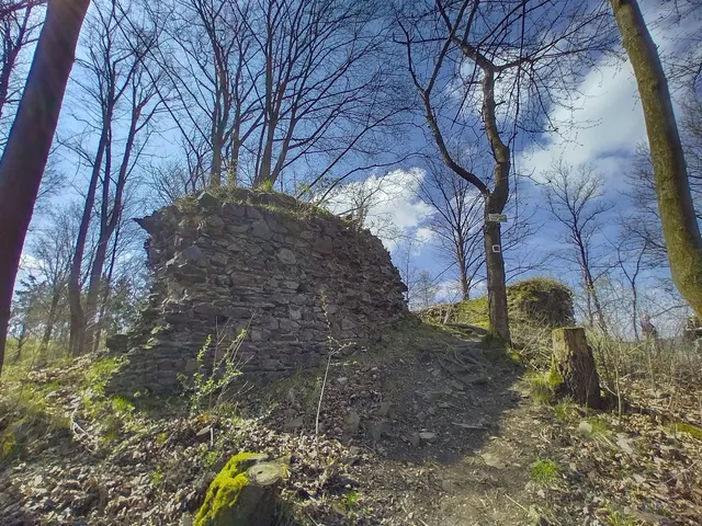 Zřícenina hradu Kokšín