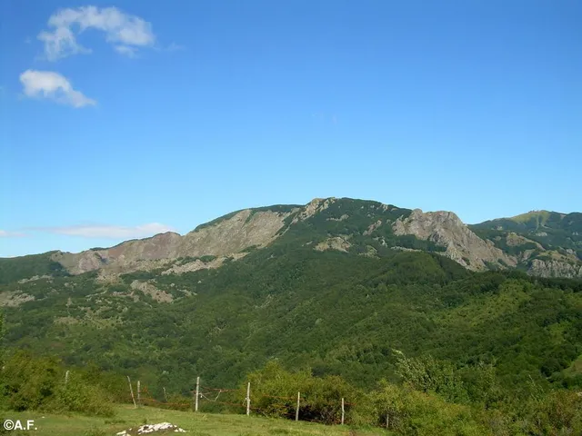Monte Roncalla