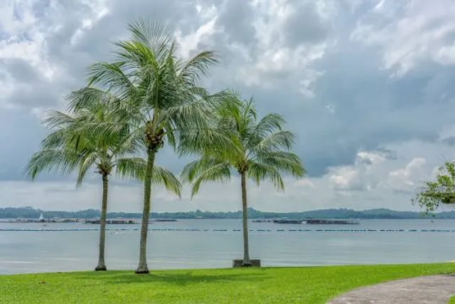 Pasir Ris Town Park