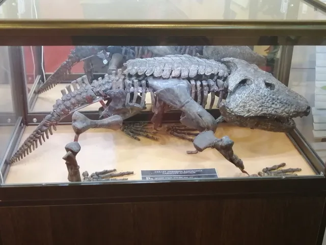 Vyatskiy Paleontologicheskiy Muzey