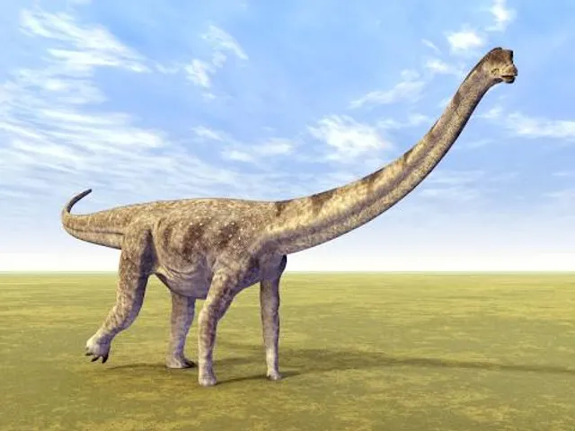 Museo Regional Desiderio Torres