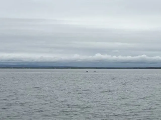 Kill Kare State Park