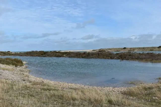 photo-3