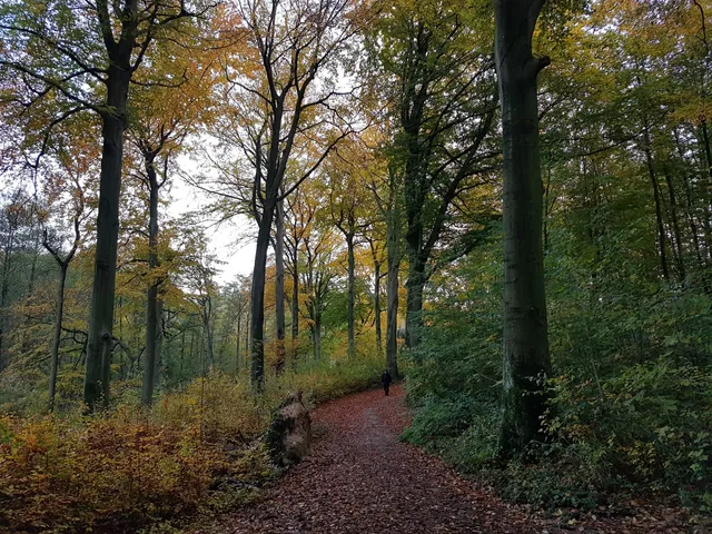 Tippelsberg–Berger Mühle
