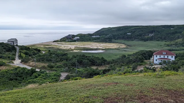 Pamet Cranberry Bog Trail