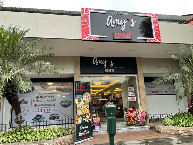 Amy's Asian Cuisine - Urdesa
