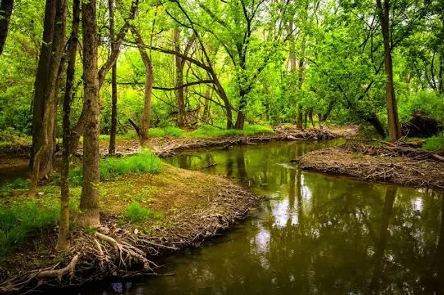 Wildwood Park
