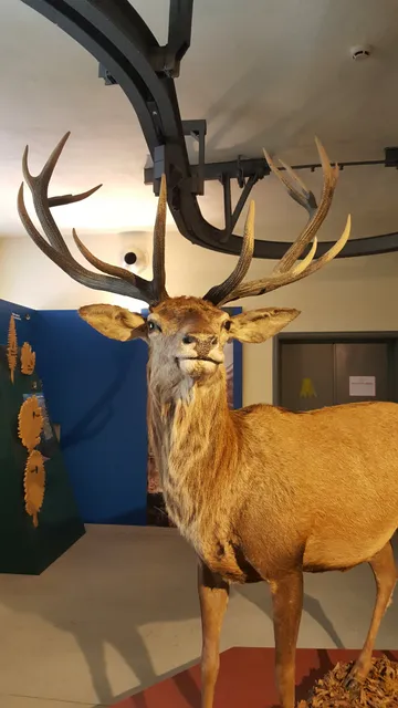Museo di Storia Naturale - Piacenza