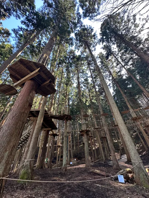 Forest Adventure Tataranosato