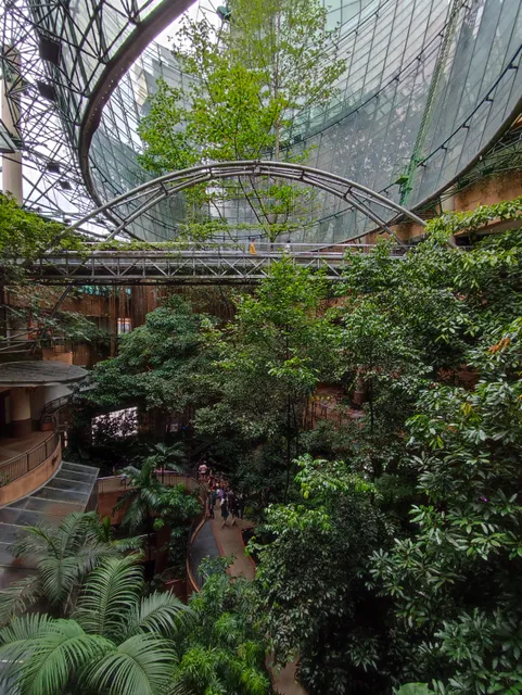 Rainforest @ 1 Utama