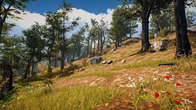 Torcas de Palancares y Tierra Muerta