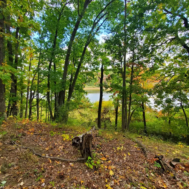 MacCready Nature Reserve