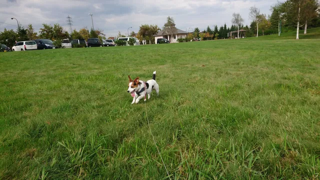 Momijiyama Minami Park