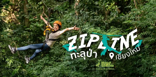 Flight of the Gibbon