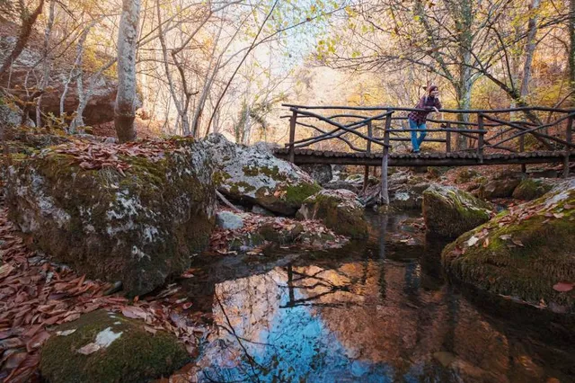 Bessho Yamazakura Park