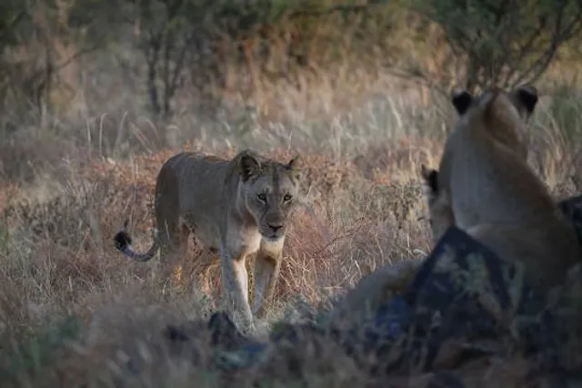 Grietjie Private Nature Reserve