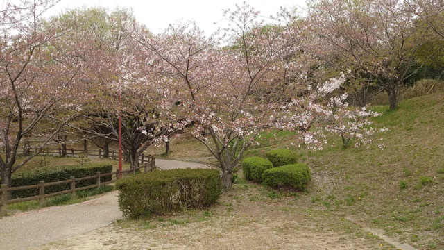 Nanamagari Park