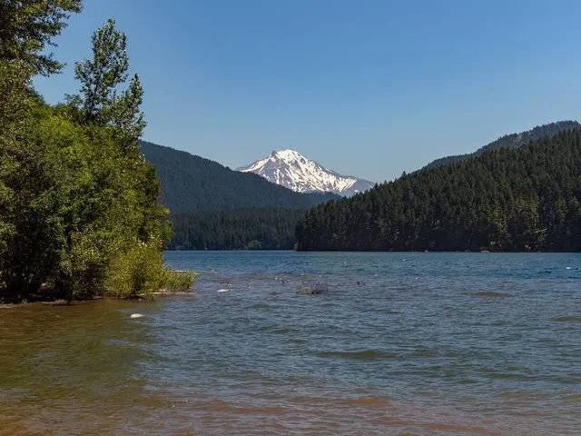 Lake Siskiyou Beach