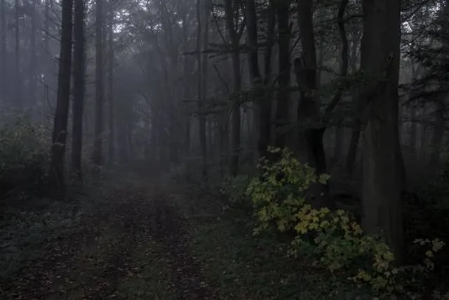 Pine Mountain Gold Museum