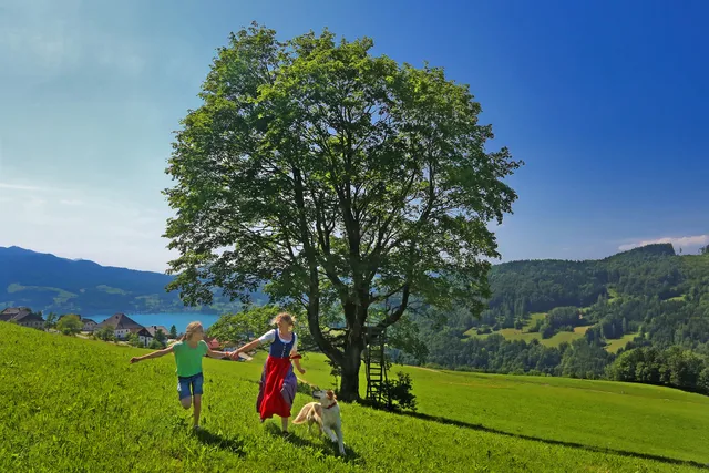 Attersee-Traunsee Nature Park