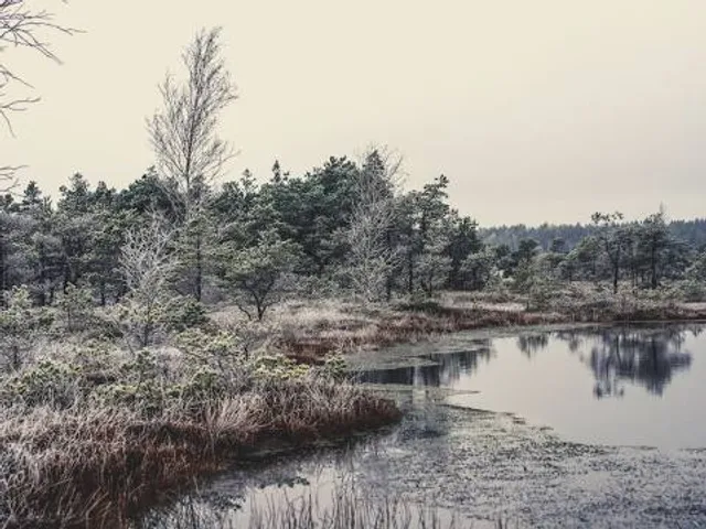 Kõrvemaa Landscape