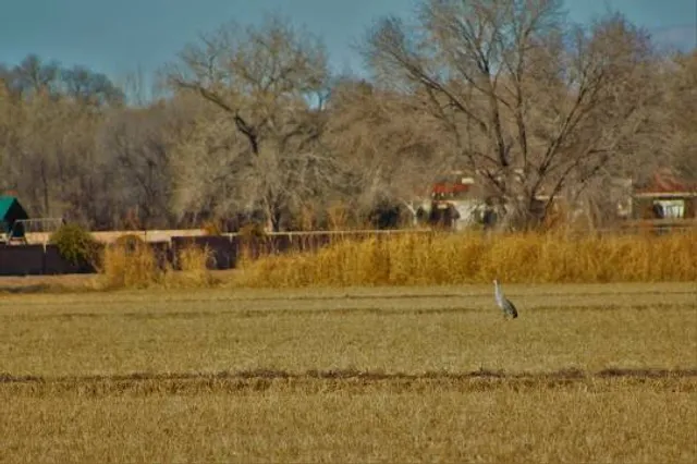 Los Poblanos Fields Open Space