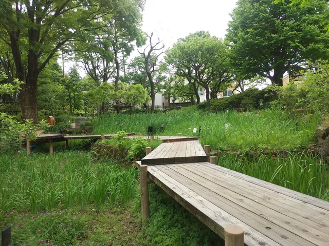 Akatsuka Botanical Garden Medicinal Plants Garden