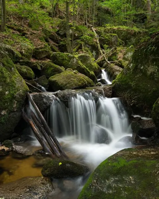 Ysperklamm - wildes Wasser, wilder Wald