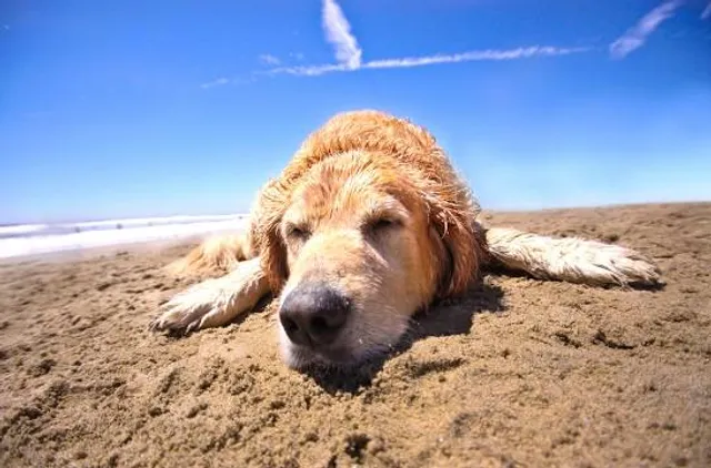 Balneario Costa Bonita