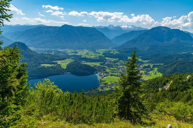 Baumwipfelpfad Salzkammergut