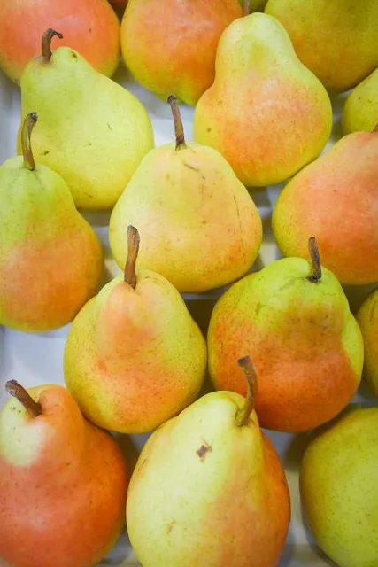 Mercado de Campo de Ourique