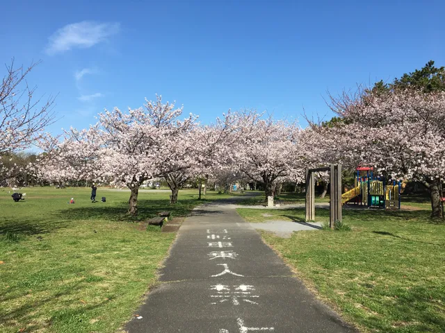 Sodegauranishikinrin Park