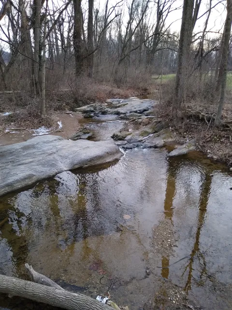 Friends of Camp Security