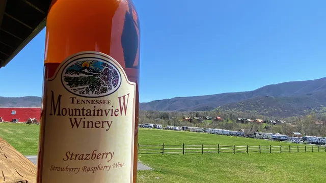 Tennessee Mountain View Winery
