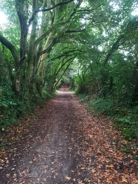 Senda del río Sisalde