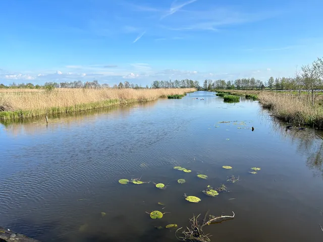 Natuurgebied Willeskop.