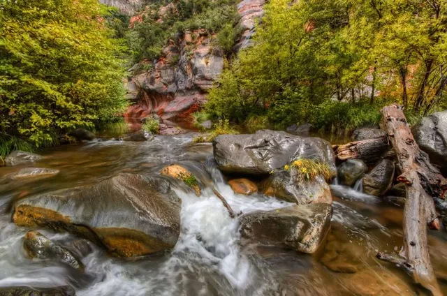 Encinoso Picnic Site