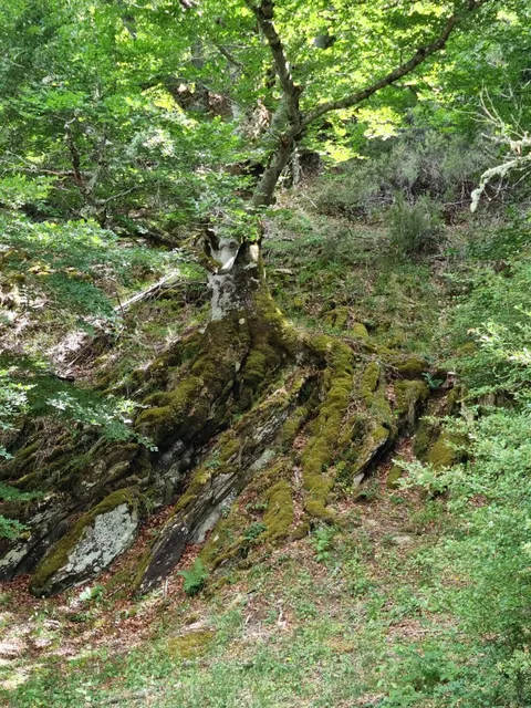 Centro de Información de la Reserva de la Biosfera Sierra del Rincón