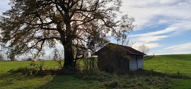 Gourmetwanderung Starnberger See