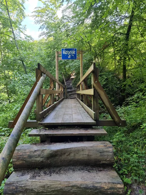 Sentier de la Morges