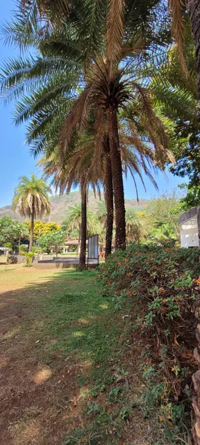 photo-2