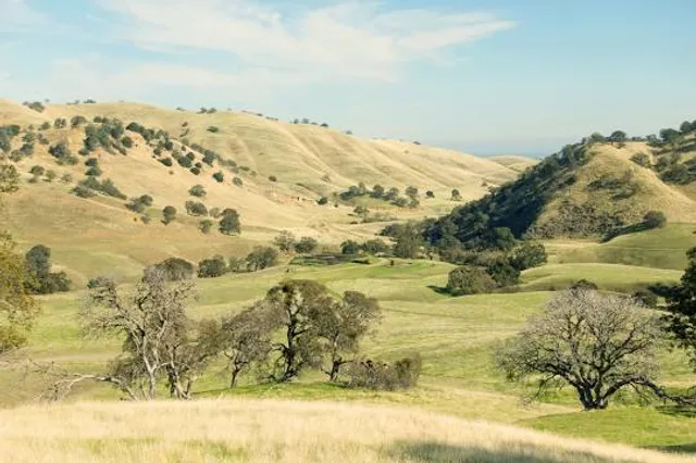 East Bay Regional Park District - Public Safety