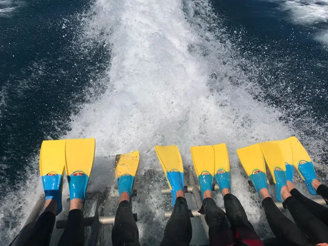 Whale Island Tours - Diveworks Charters