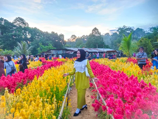 Pinang mas garden, Samarinda