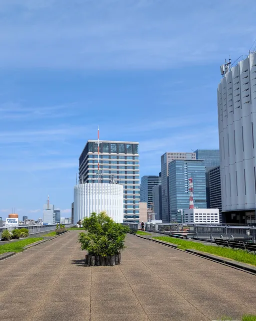 Palace Side Building