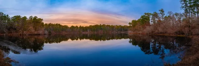 Mass Audubon's Ashumet Holly Wildlife Sanctuary