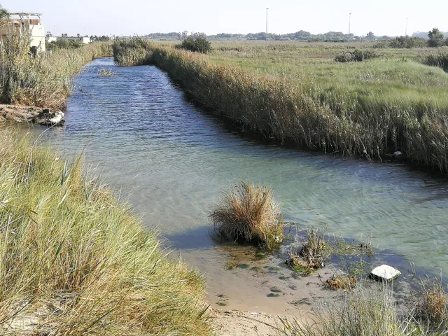 Regional Natural Park "Woods and Marshes Rauccio"
