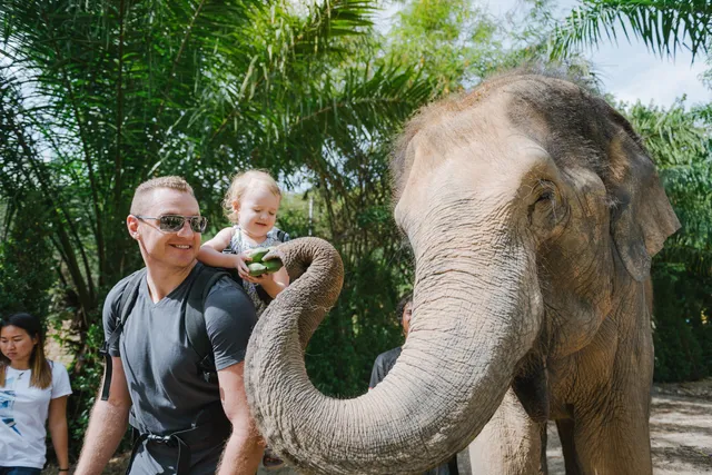 Elephant Care Park Nai Dee Phuket