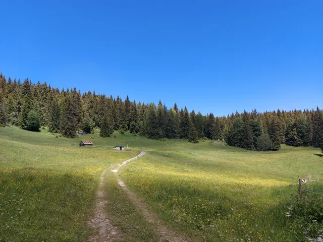 Studňa na Muránskej planine (1180 m)