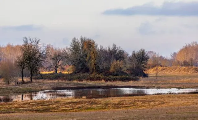 Ridgefield National Wildlife Refuge